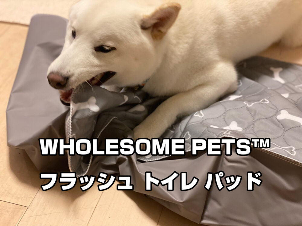 フラッシュトイレパッドを使ってみました Everydayだい吉