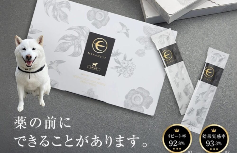 レビュー】ミラネストゼリースティック FOR DOGを愛犬に与えてみた